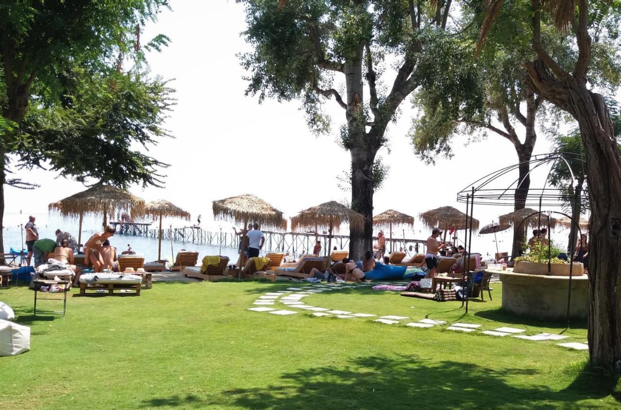 Garitsa Bay Apartment コルフ島 エクステリア 写真